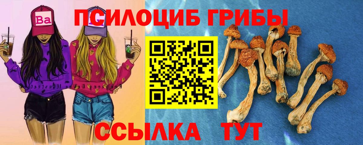 Красный Сулин  закладка  Вход с VPN  Галлюциногенные грибы мицелий 